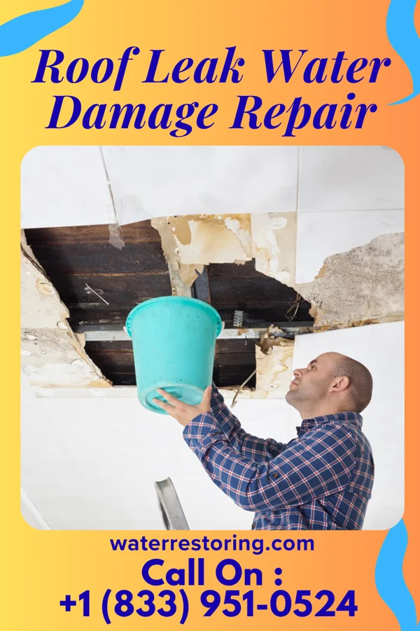 Roof Leak Water Damage Repair in Dayton, ID